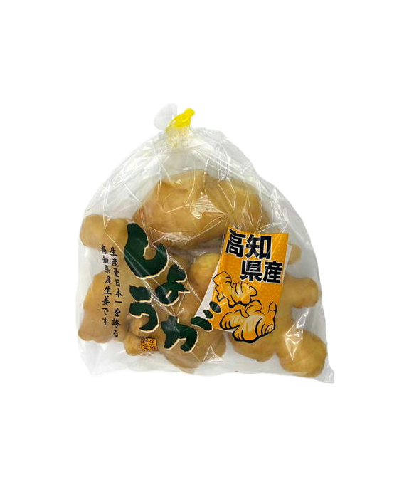 高知県産生姜　袋