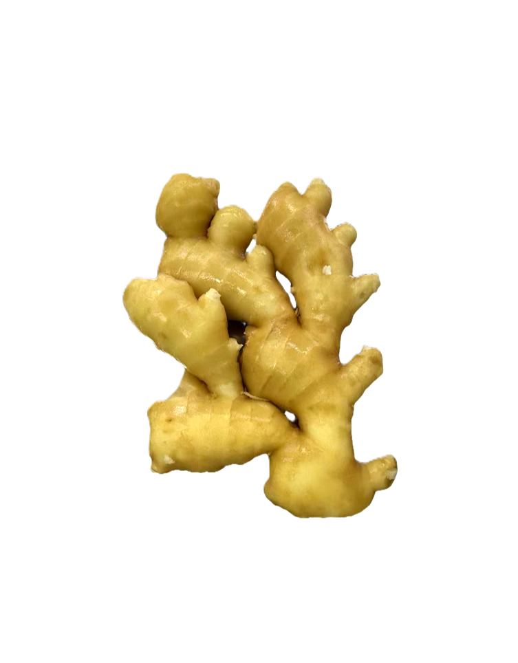 中国生姜　バラ