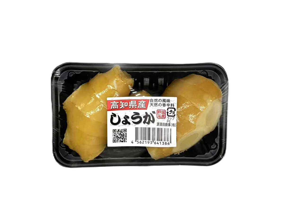 高知県産生姜　トレー